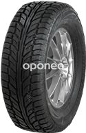 Cooper Weather-Master WSC 205/55 R16 91 T
