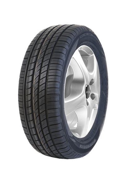 Fortune FSR303 255/45 R20 105 Y