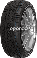 Minerva Frostrack UHP 205/55 R16 91 H
