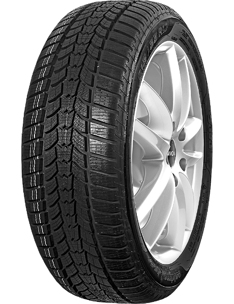 Sava Eskimo HP2 205/55 R16 91 H