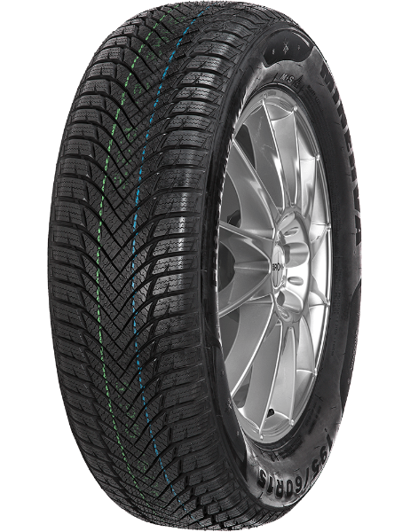 Minerva Frostrack HP 195/65 R15 91 T