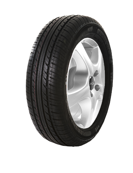 Fortune FSR801