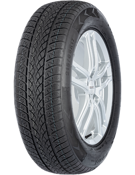 Triangle Winter X TW401 205/55 R19 97 V XL
